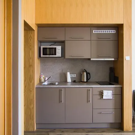 Guest house U Lva Vsetin