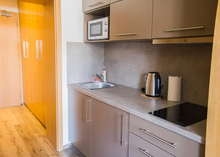 U Lva Guest house